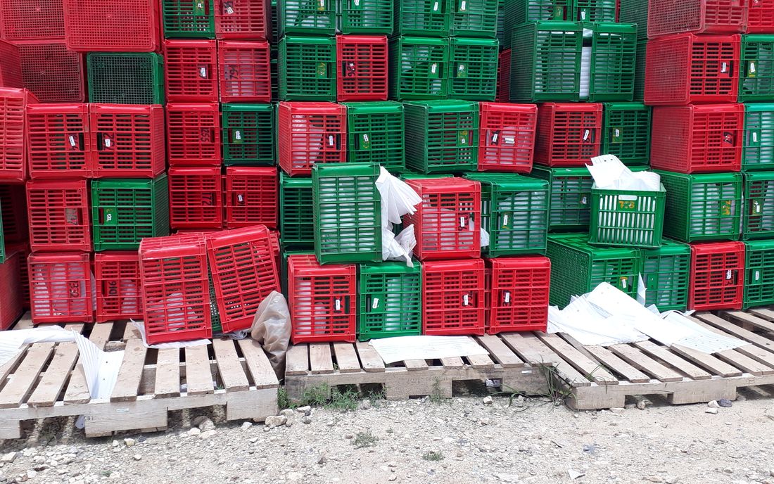 A pallet and carton label scheme that still works next year